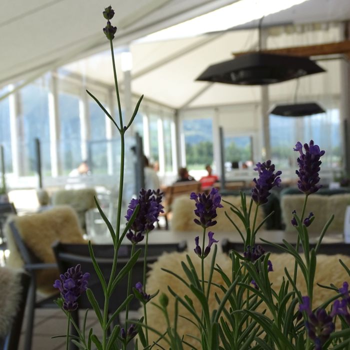 Restaurant_Die Fliegerei_04